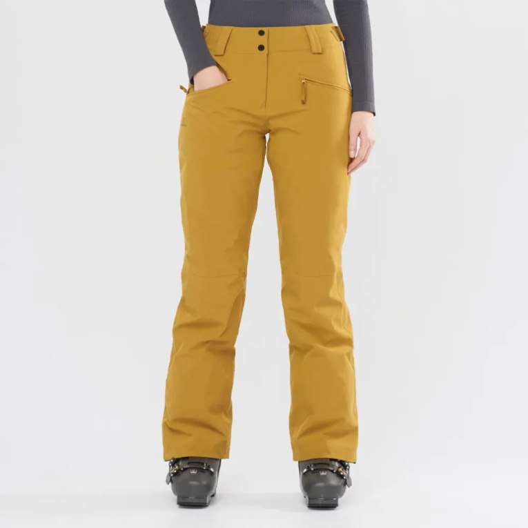 Pantalones De Esquí Salomon Edge Mujer Marrom | MX VWDK128